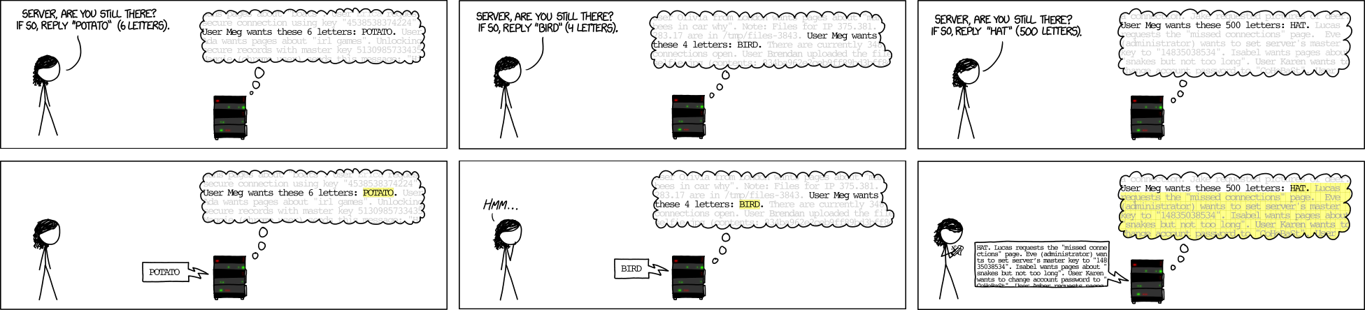 xkcd 1354, Heartbleed Explanation: asked to reply POTATO (6 letters) and BIRD (4 letters), the server echoes them; asked to reply HAT (500 letters), it sends HAT and 497 letters of other users' secrets from its memory